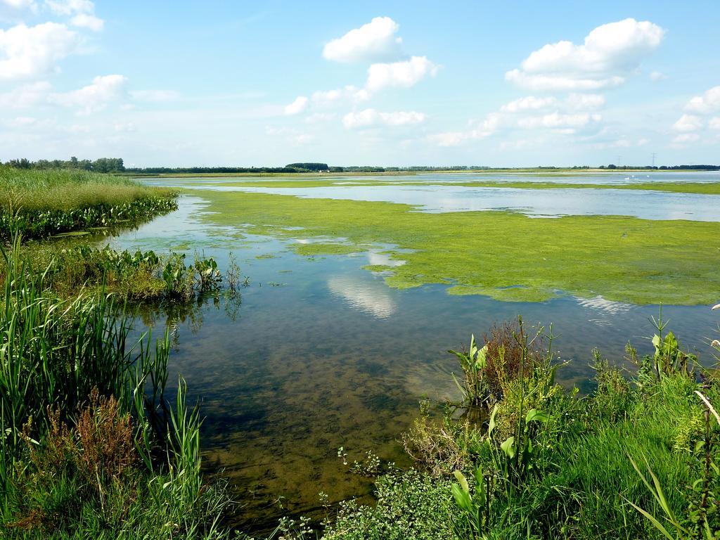 De Brabantse Biesbosch Hotel Werkendam Ngoại thất bức ảnh
