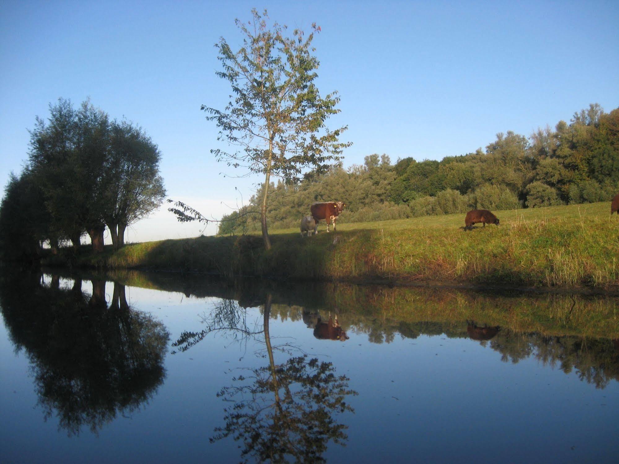 De Brabantse Biesbosch Hotel Werkendam Ngoại thất bức ảnh